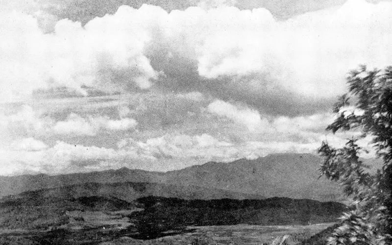 Champhai Hills- Lushai Chysalis