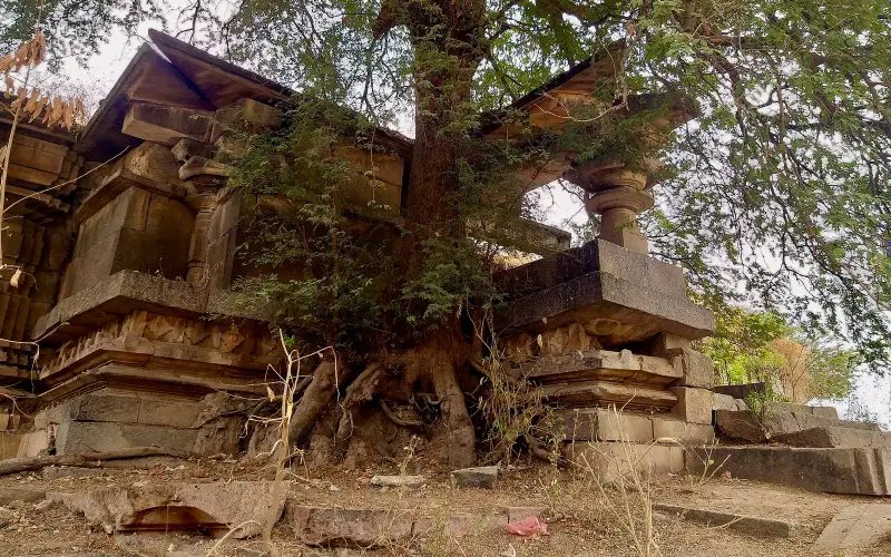 Chikati Gudi, Kothapali Haveli, Telangana - 69