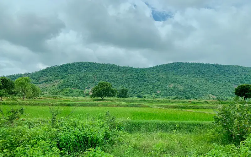 Palampet village and nearby farmlands, Telangana India - 3